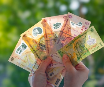 Inflația din România în 2025 – imagine ilustrativă cu bancnote